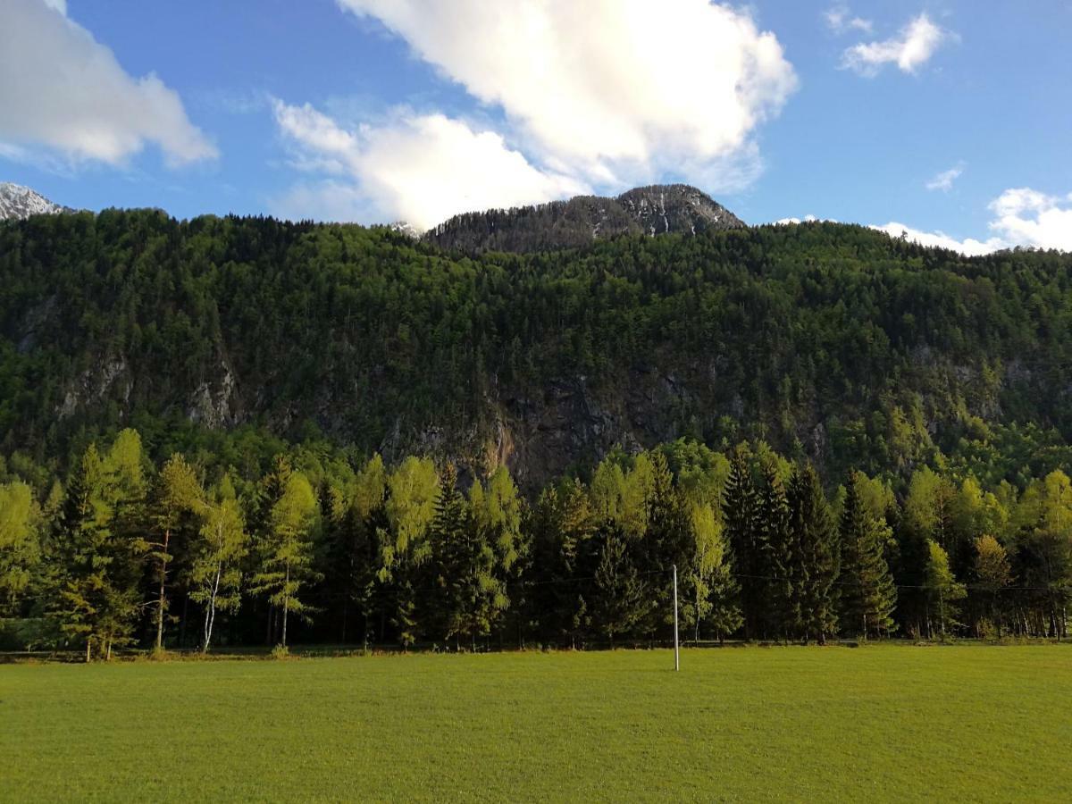 Apartmaji Lajf Kranjska Gora Kültér fotó